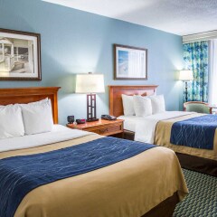 Отель Comfort Inn On the Ocean с домашними животными
