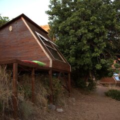 Отель Caliente Bungalows - Adults Only