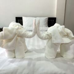 Отель Summer Guesthouse & Hostel Таиланд, Остров Тау - отзывы, цены и фото номеров - забронировать отель Summer Guesthouse & Hostel онлайн комната для гостей фото 2