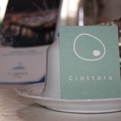 Отель Il Ciottolo Генуя с домашними животными