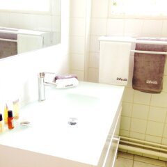 Apartment With one Bedroom in Le Gosier, With Enclosed Garden and Wifi in Le Gosier, France from 142$, photos, reviews - zenhotels.com bathroom