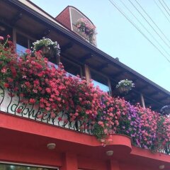 Отель Family Hotel Flora Болгария, Ардино - отзывы, цены и фото номеров - забронировать отель Family Hotel Flora онлайн фото 22