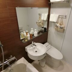 Отель Nest Hotel Tokyo Hanzomon Япония, Токио - отзывы, цены и фото номеров - забронировать отель Nest Hotel Tokyo Hanzomon онлайн ванная