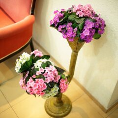 Loui Hotel Израиль, Хайфа - отзывы, цены и фото номеров - забронировать отель Loui Hotel онлайн интерьер отеля фото 2
