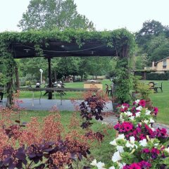 Отель Agriturismo Podere Bucine Basso Италия, Лари - отзывы, цены и фото номеров - забронировать отель Agriturismo Podere Bucine Basso онлайн фото 7