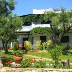 Отель Olive House Ситония фото 10