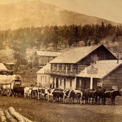 Отель Cariboo Lodge фото 2
