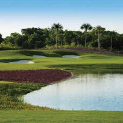 Отель Pure All Suites Riviera Maya Плая-дель-Кармен спортивное сооружение
