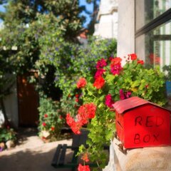 Allenby 2 Bed and Breakfast Израиль, Иерусалим - отзывы, цены и фото номеров - забронировать отель Allenby 2 Bed and Breakfast онлайн фото 3
