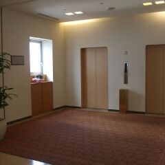 Hotel Lake Alster Alza Izumiotsu Матсубара интерьер отеля