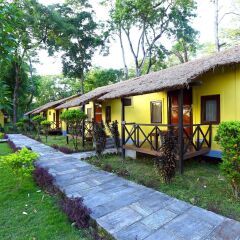 Отель Safari Adventure Lodge Непал, Саураха - отзывы, цены и фото номеров - забронировать отель Safari Adventure Lodge онлайн фото 16