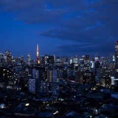 Отель The Westin Tokyo Япония, Токио - отзывы, цены и фото номеров - забронировать отель The Westin Tokyo онлайн фото 11