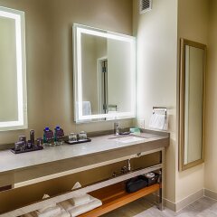 Hard Rock Hotel & Casino Sioux City in Sioux City, United States of America from 211$, photos, reviews - zenhotels.com bathroom