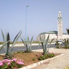 Отель Novotel Casablanca City Center Марокко, Касабланка - 1 отзыв об отеле, цены и фото номеров - забронировать отель Novotel Casablanca City Center онлайн парковка