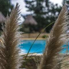 Отель Ta Bertu Host Family Bed & Breakfast Мальта, Зуррик - отзывы, цены и фото номеров - забронировать отель Ta Bertu Host Family Bed & Breakfast онлайн бассейн фото 2