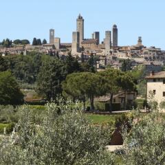 Отель Fattoria Abbazia Monte Oliveto Италия, Сан-Джиминьяно - отзывы, цены и фото номеров - забронировать отель Fattoria Abbazia Monte Oliveto онлайн фото 10