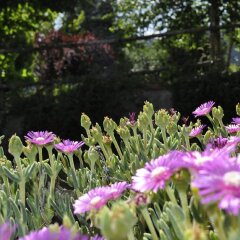 Отель Agriturismo Cupello Италия, Читтадукале - отзывы, цены и фото номеров - забронировать отель Agriturismo Cupello онлайн фото 2