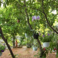Отель Quynh Nhan Homestay