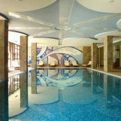 Апартаменты Winslow Infinity and Spa Alexander Services Apartments Банско бассейн