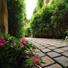 Отель Les Patios du Marais 1 фото 13