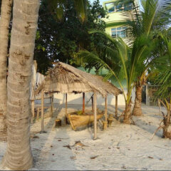 Island Cottage in South Male Atoll, Maldives from 268$, photos, reviews - zenhotels.com beach photo 3