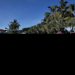 Отель Avani Bentota Resort с домашними животными