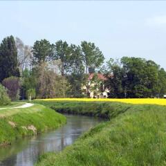 Отель Agriturismo Villa Selvatico Италия, Вигонца - отзывы, цены и фото номеров - забронировать отель Agriturismo Villa Selvatico онлайн приотельная территория фото 2
