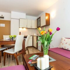 Отель Stream Resort Болгария, Пампорово - отзывы, цены и фото номеров - забронировать отель Stream Resort онлайн фото 15