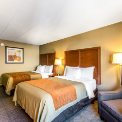 Отель Comfort Inn Grand Rapids Airport США, Гранд-Рапидс - отзывы, цены и фото номеров - забронировать отель Comfort Inn Grand Rapids Airport онлайн комната для гостей фото 4