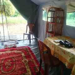 Отель Wild eco safari интерьер отеля