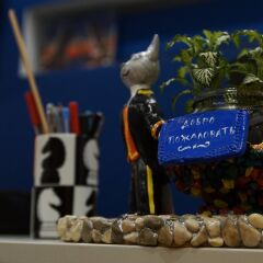 Хостел Браво Санкт-Петербург развлечения