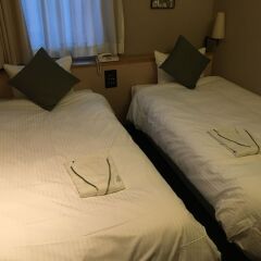 Yaesu Terminal Hotel комната для гостей фото 2