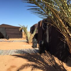 Отель Kam Kam Dunes Марокко, Мерзуга - отзывы, цены и фото номеров - забронировать отель Kam Kam Dunes онлайн пляж фото 2