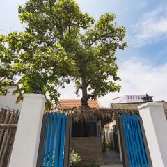 Отель Cashew Tree Bungalow