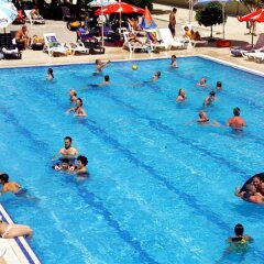 Selcukhan Hotel с домашними животными