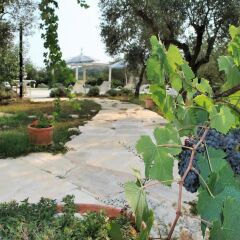 Отель Dolmen - Four Bedroom Итри фото 5