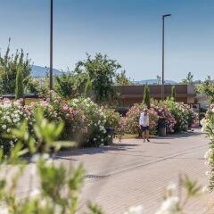 Отель Camping Firenze фото 5