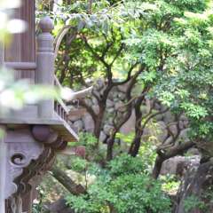 Отель In Bloom Beppu Беппу фото 2