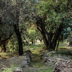 Отель Agriturismo Petrara Симери-Крики приотельная территория
