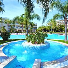 Hotel Riu Guaraná с домашними животными