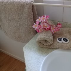 Norfolk Holiday Apartments in Burnt Pine, Norfolk Island from 131$, photos, reviews - zenhotels.com bathroom