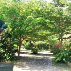 Отель Siva Buri Resort