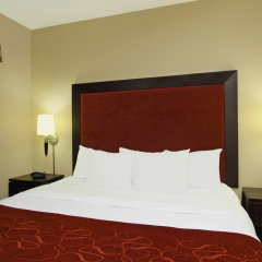 Comfort Suites DFW North/Grapevine in Grapevine, United States of America from 144$, photos, reviews - zenhotels.com guestroom photo 2