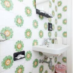 Hotel Ronconi Римини развлечения