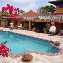 Fuego Mio Bed & Breakfast in Santa Cruz, Aruba from 117$, photos, reviews - zenhotels.com pool