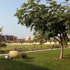 Отель Apartkomplex Sorrento Sole Mare Свети Влас фото 18