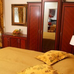 Отель Elysee Чехия, Прага - отзывы, цены и фото номеров - забронировать отель Elysee онлайн комната для гостей фото 5
