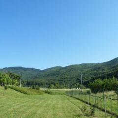 Отель Agriturismo Fattoria Di Gragnone Ареццо фото 4