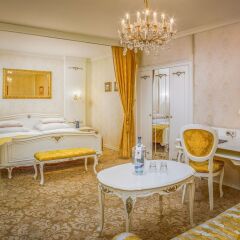 Отель Schlosshotel Römischer Kaiser Австрия, Вена - отзывы, цены и фото номеров - забронировать отель Schlosshotel Römischer Kaiser онлайн помещение для мероприятий фото 2