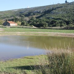 Отель Montejunto Villa